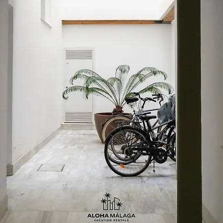 Platea Cervantes, Centro Historico By Alohamalaga Apartment *